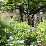 Open House - Royal College of Physicians Garden Tour