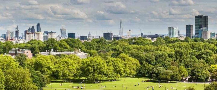 Weekly Walk in Primrose Hill – Trees of Street and Canal in Primrose Hill 