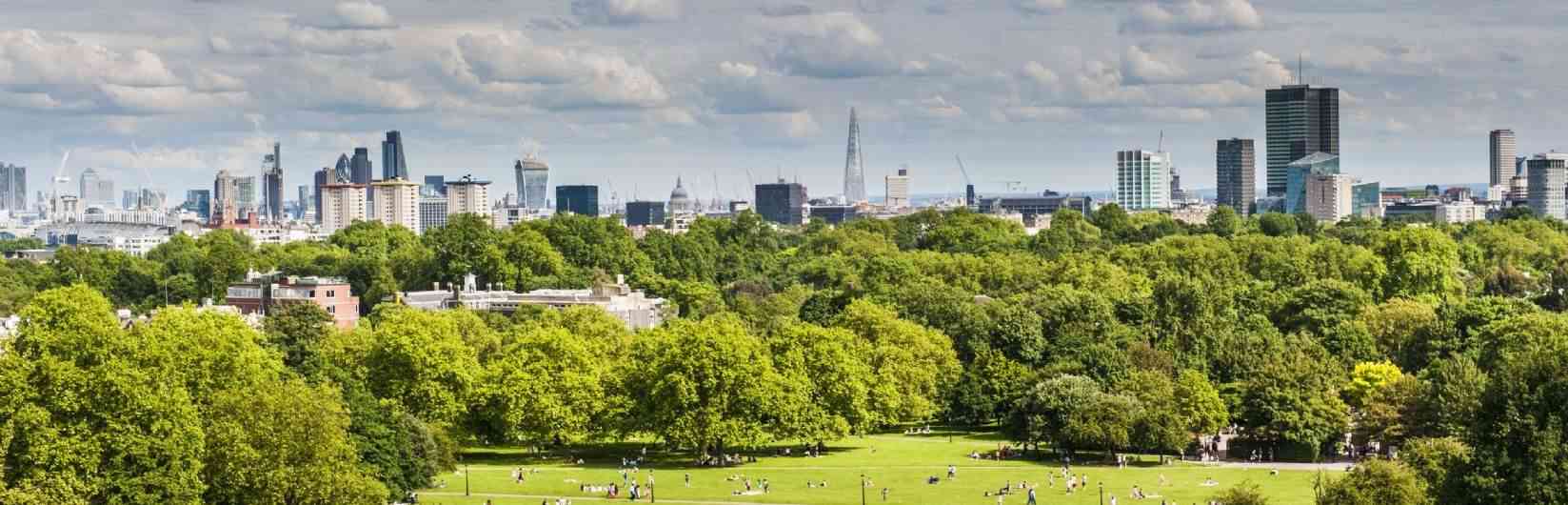 Weekly Walk in Primrose Hill