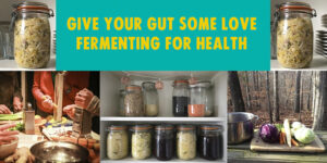 Fermentation workshop details