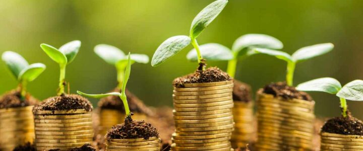 Investing in the Future : ‘Green’ money and pensions