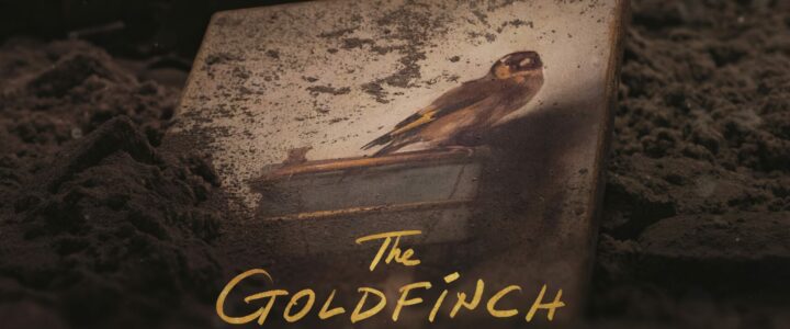 Open House—The Goldfinch