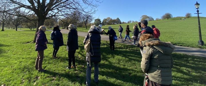 Primrose Hill Walks—a year in review