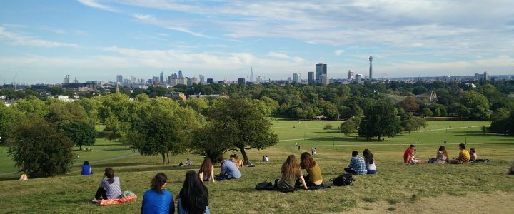 Open House—Picnic in the Park