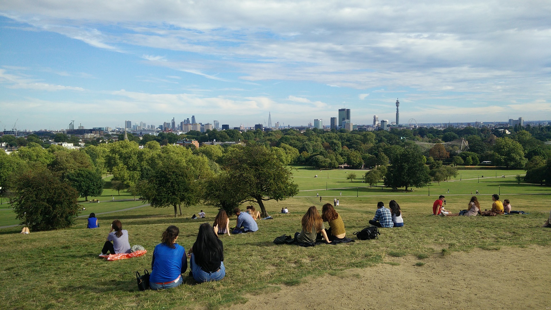 Open House—Picnic in the Park