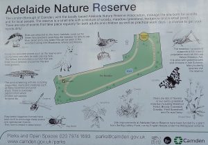 Adelaide Road Nature Reserve