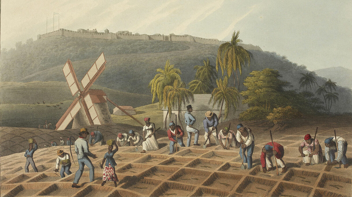 A View from the Hill - Legacies of British Slave Ownership