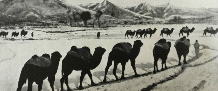 “Glimpsing the Great Gobi” with Sue Byrne
