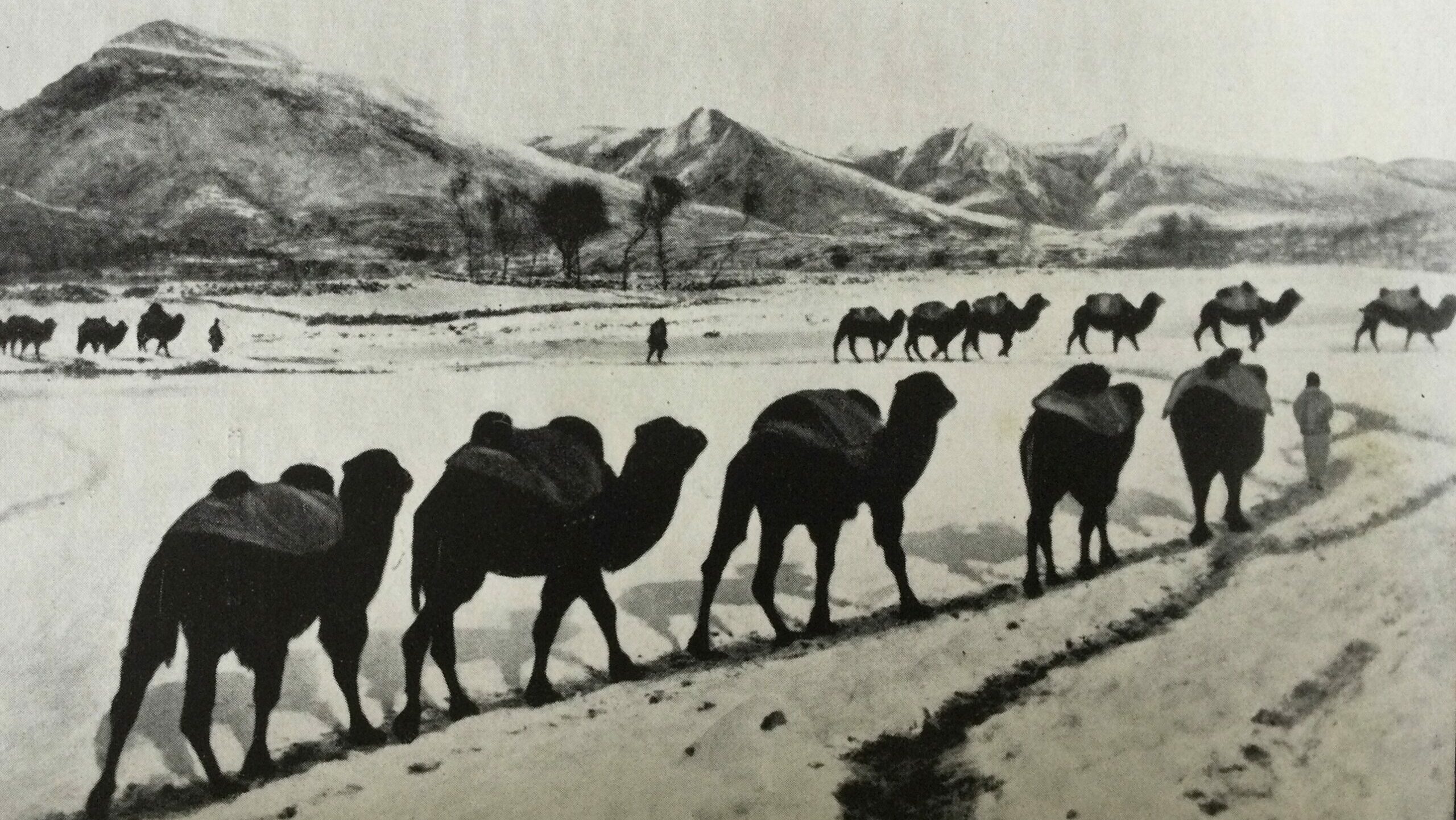 A View from the Hill - Glimpsing the Great Gobi